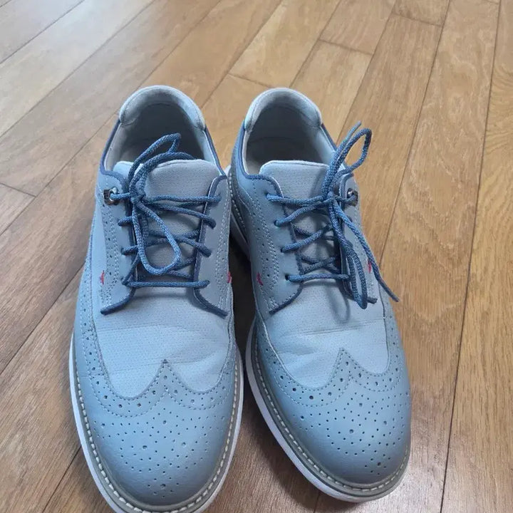 [BUNJANG] FootJoy Golf Shoes 255mm Light Gray / 풋조이 골프화 255mm 라이트그레이