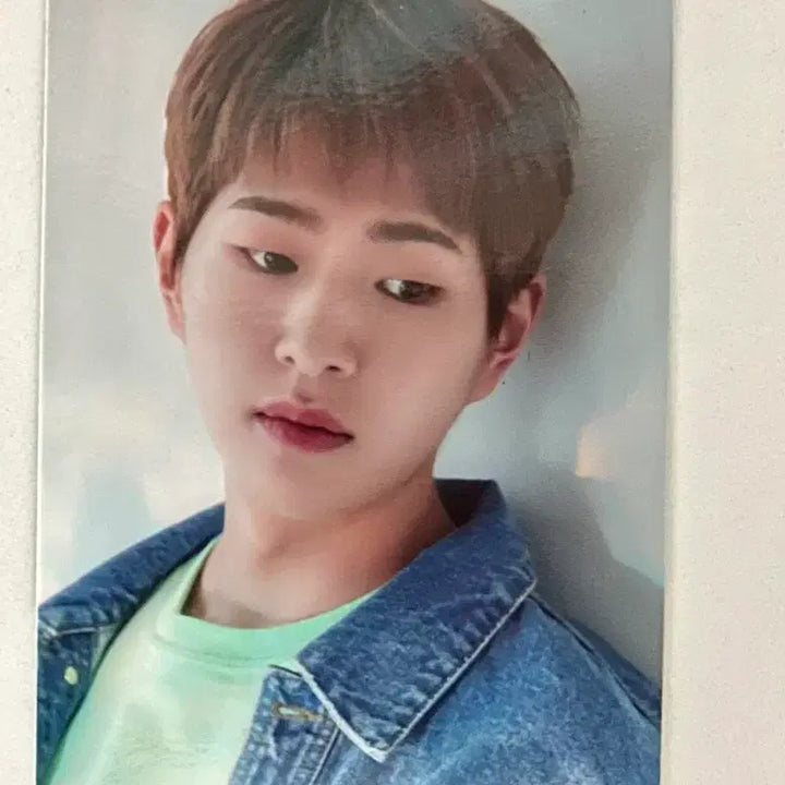 [BUNJANG] SHINee Onew Into The Light Photocard / 온유 포카 샤이니 포토북 인투더라이트