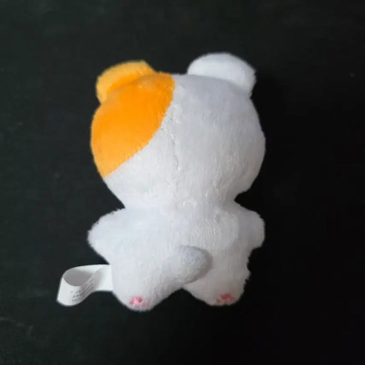 [SOLD OUT] 인피니트 김성규 10cm 인형 규토리 양도