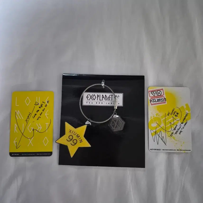 [BUNJANG] EXO Xiumin Keyring + Photocard Set / EXO 시우민 키링 + 포토카드 세트