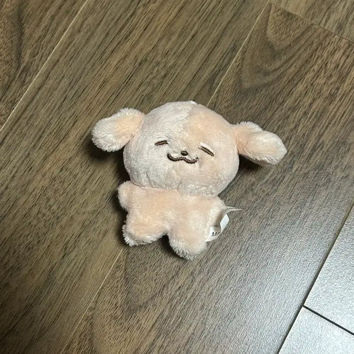 [BUNJANG] NCT Dream Jeno Doll / NCT DREAM 제노 인형 양도