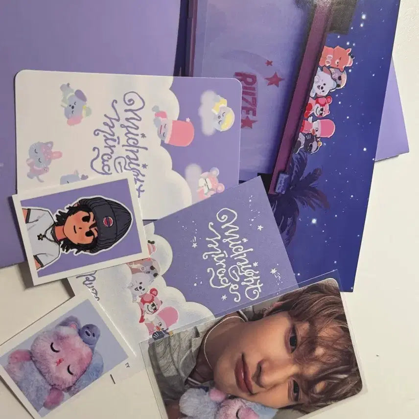 [SOLD OUT] 보이스키링 원빈 토냥덕 양도 위버스