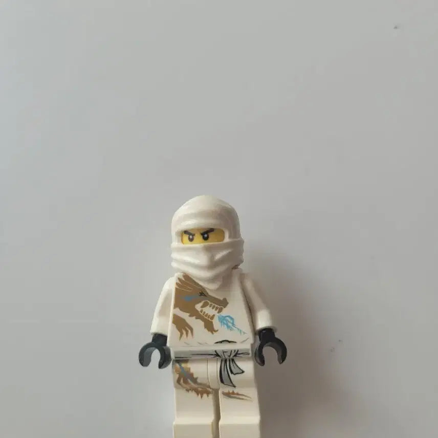 [BUNJANG] LEGO Ninjago DX Zane / 레고 닌자고 DX 쟌