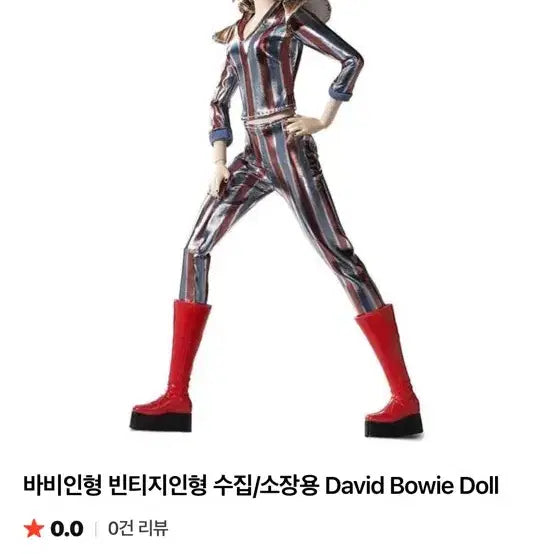 [BUNJANG] Limited Edition David Bowie Barbie Doll / 한정판 데이비드 보위 바비인형