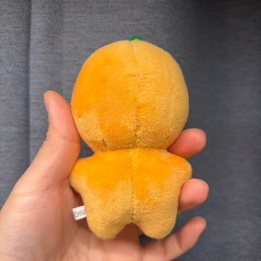 [SOLD OUT] (택포) 세븐틴 부승관 뿌라봉