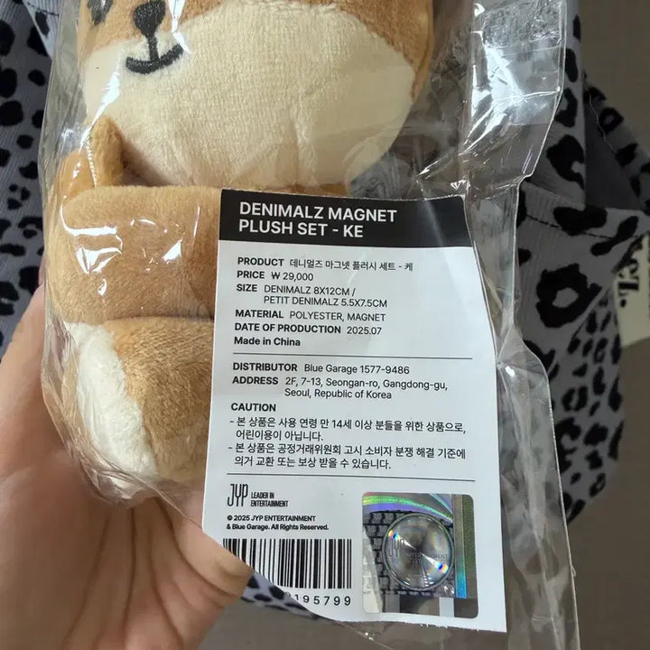 [BUNJANG] Day6 Nae Ana Magnet Keyring (Sealed) / 데이식스 굿즈 나안아 마그넷 케 미개봉