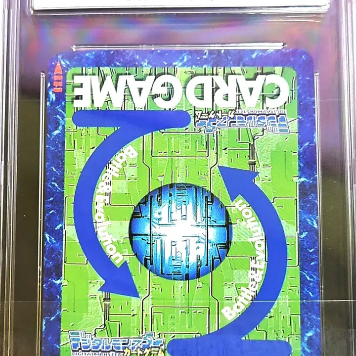 [BUNJANG] 2003 Guudy Gzika Ancient Wise Man / 2003 구디지카 에이션트 와이즈몬 brg9