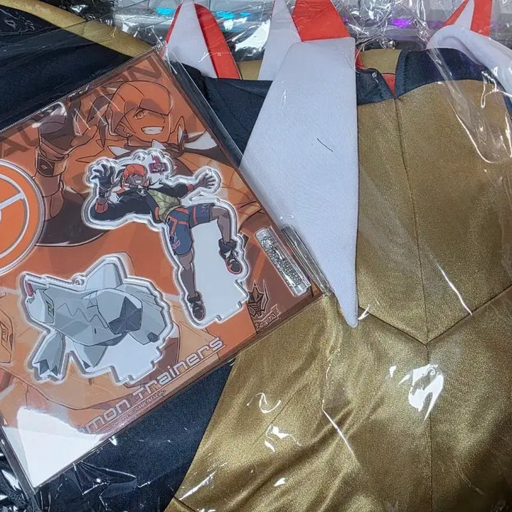 [BUNJANG] Pokemon Raihan Hoodie (Parka) &amp; Acrylic Stand Bundle / 포켓몬스터 금랑 후드(파카) / 아크릴 스탠드 판매합니다.