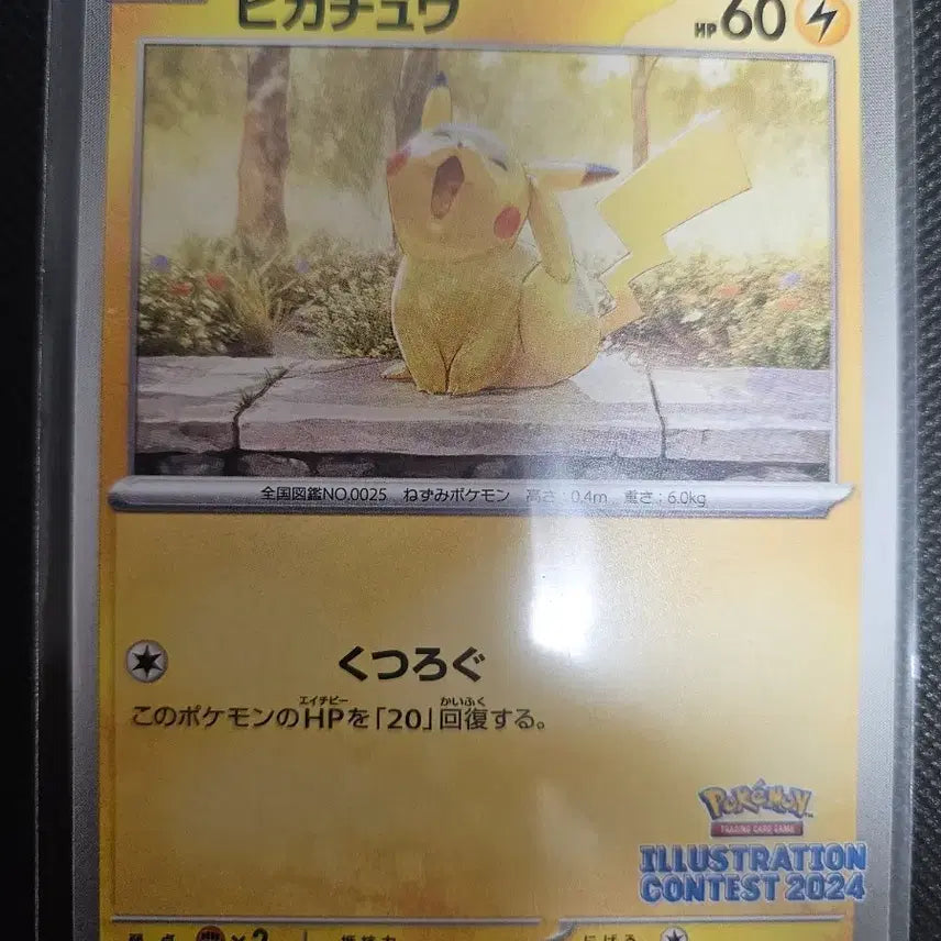 [BUNJANG] Pikachu Contest Promo Card Japanese Edition / 콘테스트 피카츄 프로모 카드 일판 팝니다