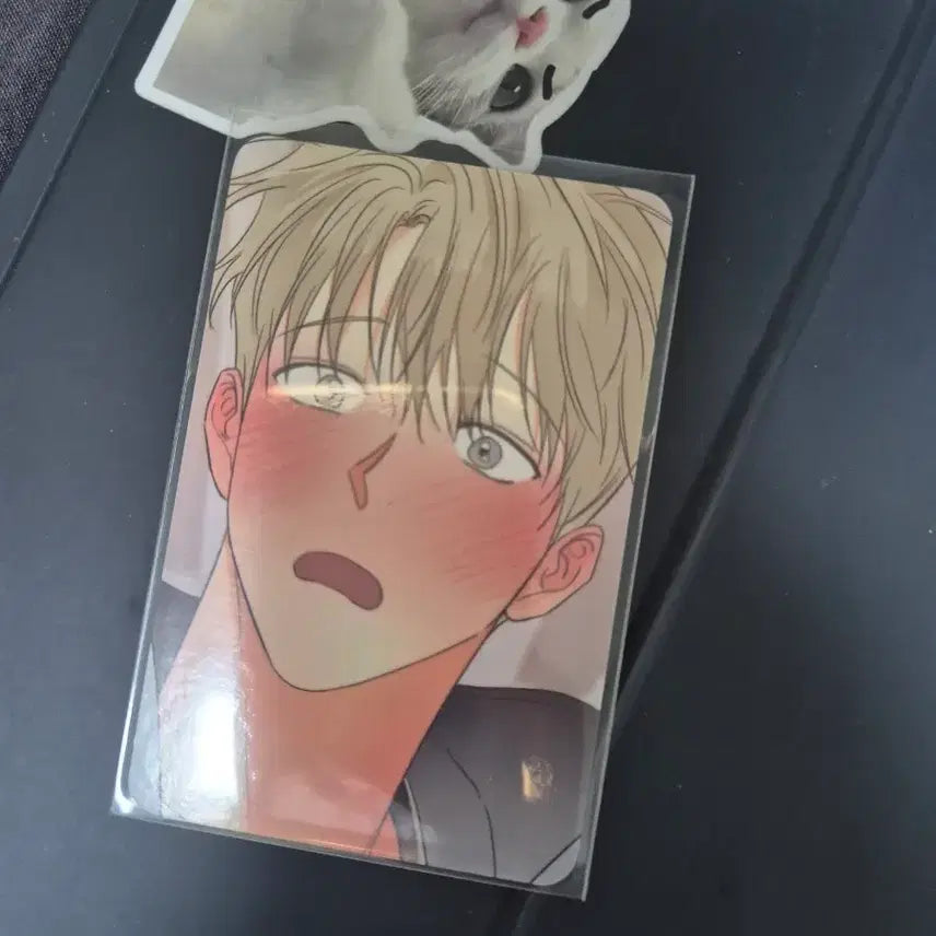 [BUNJANG] WeeYuJeon Dangerous Convenience Store Photocard / 위험한 편의점 포카 여의준 위편