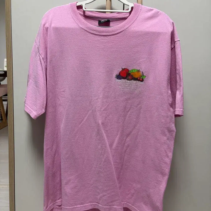 [BUNJANG] Stüssy Fruits T-Shirt / 스투시 후르츠 티셔츠