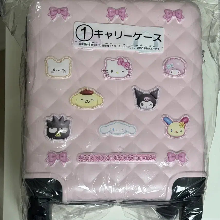 [BUNJANG] Sanrio April Carrier / 4월 산리오 캐리어