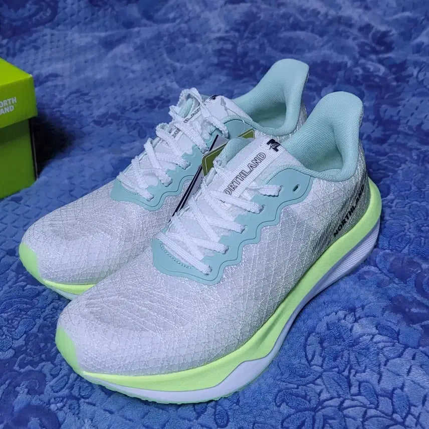 [BUNJANG] North Land Carbon Running Shoes (Size 250) / 노스랜드(NORTH LAND) 카본 런닝화 250 판매 (새상품)