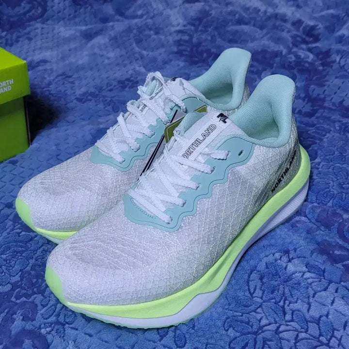 [BUNJANG] North Land Carbon Running Shoes (Size 250) / 노스랜드(NORTH LAND) 카본 런닝화 250 판매 (새상품)