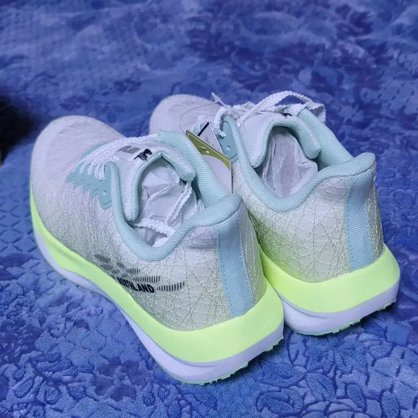[BUNJANG] North Land Carbon Running Shoes (Size 250) / 노스랜드(NORTH LAND) 카본 런닝화 250 판매 (새상품)