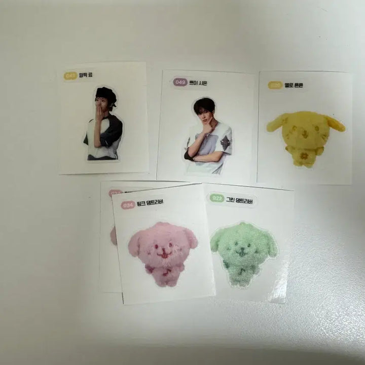 [BUNJANG] NCT WISH Color Ttibbu Ttibbu Seal / 엔시티위시 컬러 띠부띠부씰