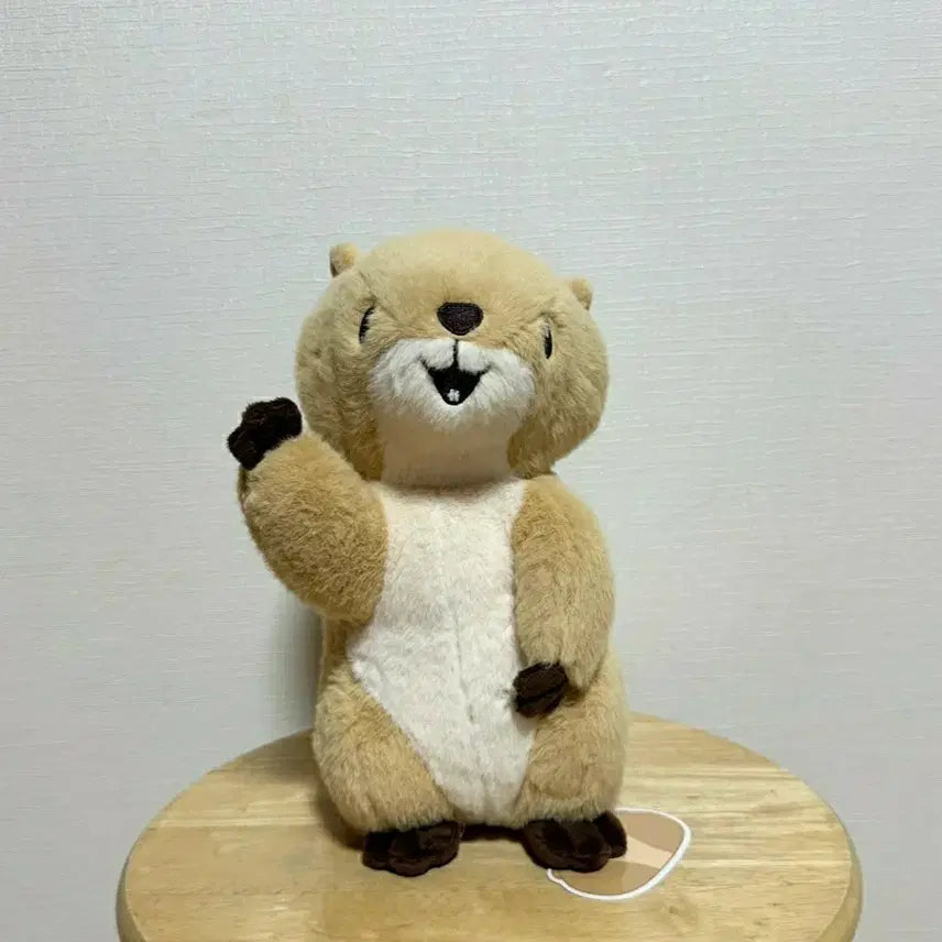 [BUNJANG] Hello Prairie Dog Medium Plush Toy (New) / 헬로우 프레리독 중형M 인형 새제품