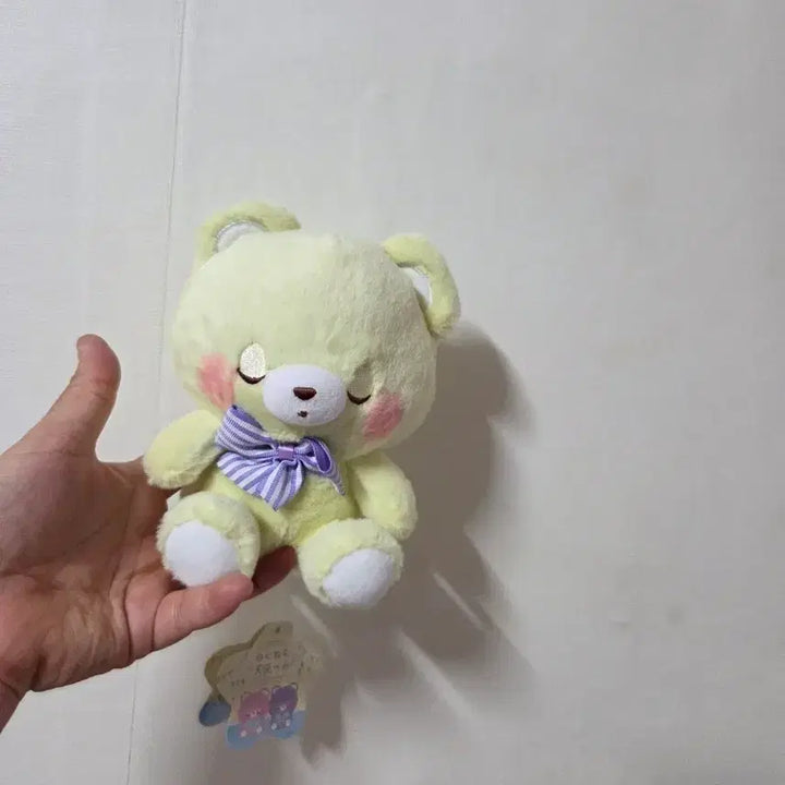 [BUNJANG] Nemunemu Angel Sleeping Bear Doll / 네무네무 천사 잠자는 곰돌이 인형 + 리본 택 O  (새제품)
