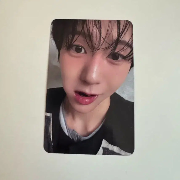 [BUNJANG] Anteros Ryo Photocard / 안테로스 료 포카 양도
