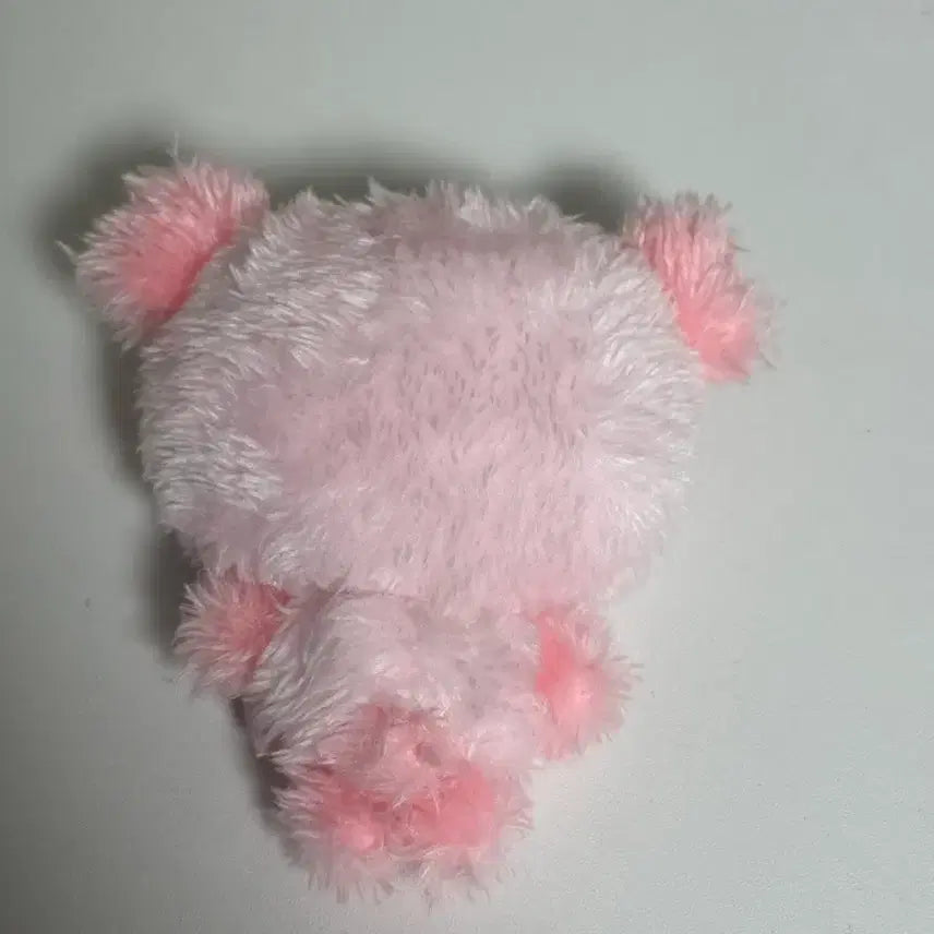 [SOLD OUT] 컬러위시돌 팡이 핑크