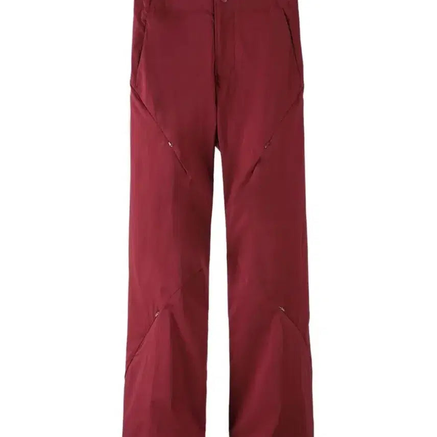 [BUNJANG] Post Archive Faction 5.0+ Technical Pants - Right - Burgundy / [M] 포스트아카이브팩션 5.0+ 테크니컬팬츠 RIGHT 버건디