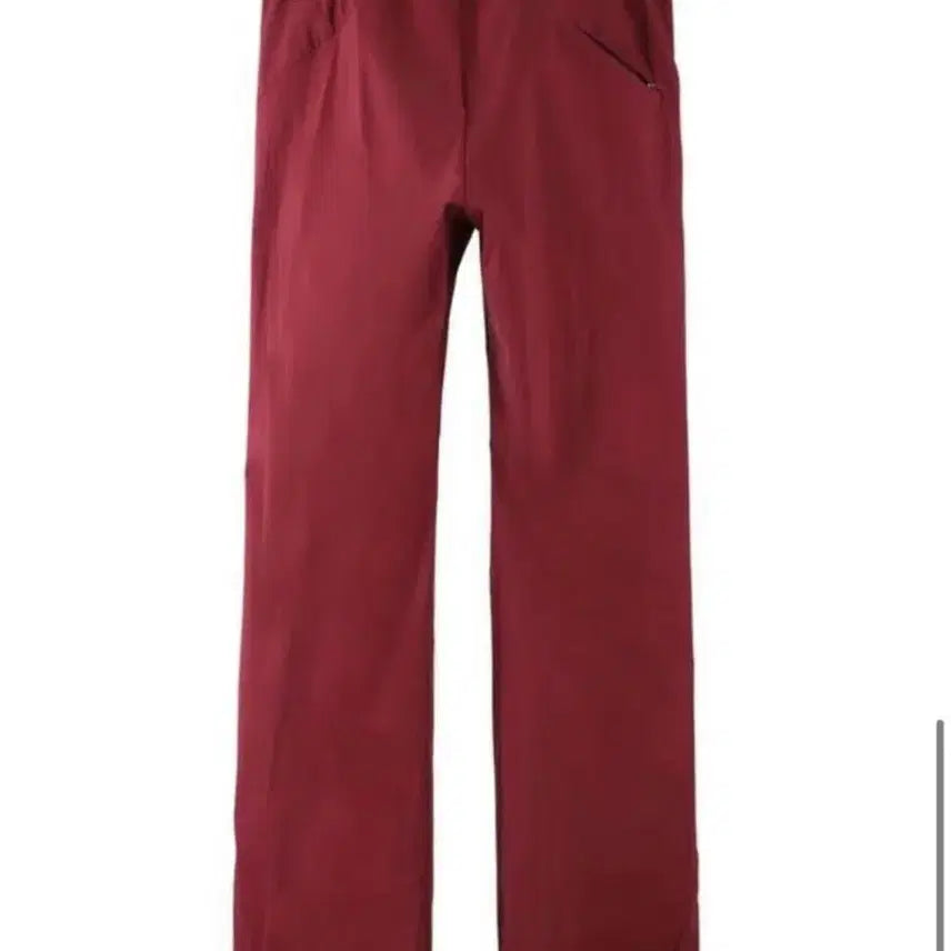 [BUNJANG] Post Archive Faction 5.0+ Technical Pants - Right - Burgundy / [M] 포스트아카이브팩션 5.0+ 테크니컬팬츠 RIGHT 버건디