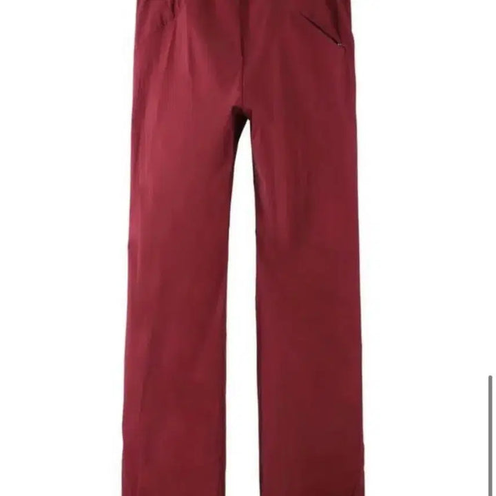[BUNJANG] Post Archive Faction 5.0+ Technical Pants - Right - Burgundy / [M] 포스트아카이브팩션 5.0+ 테크니컬팬츠 RIGHT 버건디