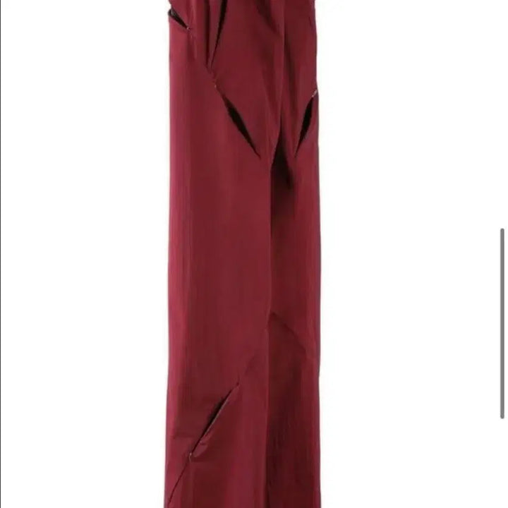 [BUNJANG] Post Archive Faction 5.0+ Technical Pants - Right - Burgundy / [M] 포스트아카이브팩션 5.0+ 테크니컬팬츠 RIGHT 버건디