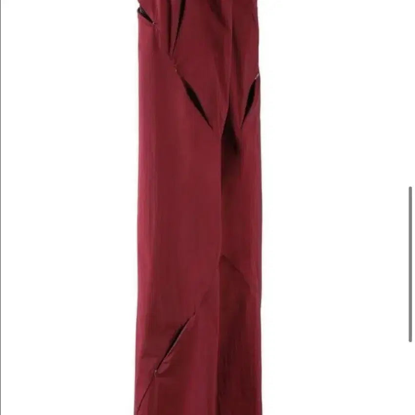 [BUNJANG] Post Archive Faction 5.0+ Technical Pants - Right - Burgundy / [M] 포스트아카이브팩션 5.0+ 테크니컬팬츠 RIGHT 버건디