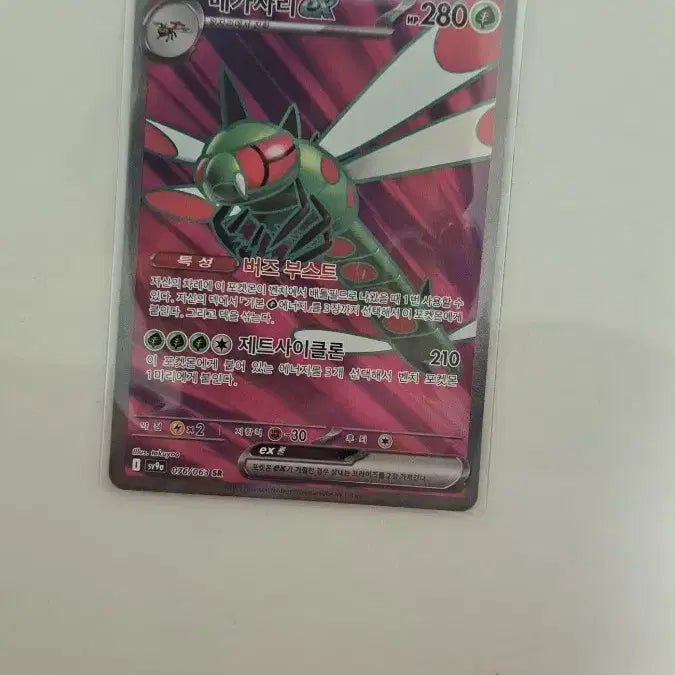 [BUNJANG] Wangjjang SR Card / 왕자리sr