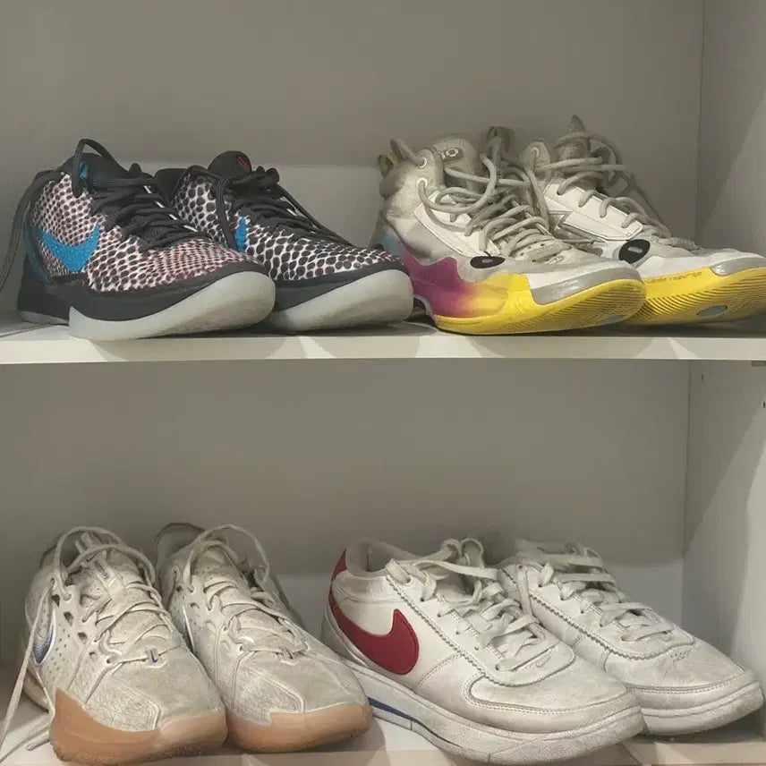 [BUNJANG] Kobe 6, Wow10, Book 1, GT Cut 3 Sneakers / 코비 6 wow10 북1 지티컷 3