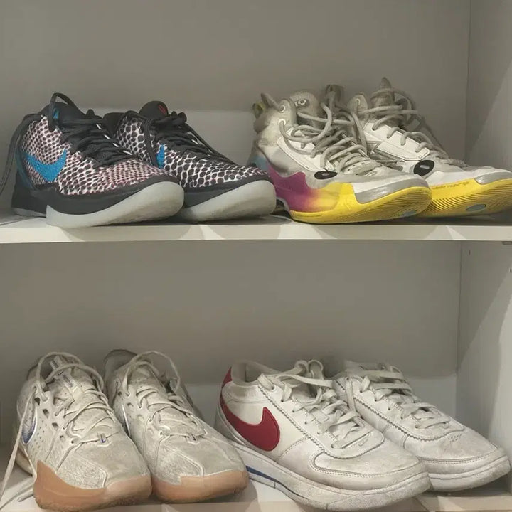 [BUNJANG] Kobe 6, Wow10, Book 1, GT Cut 3 Sneakers / 코비 6 wow10 북1 지티컷 3