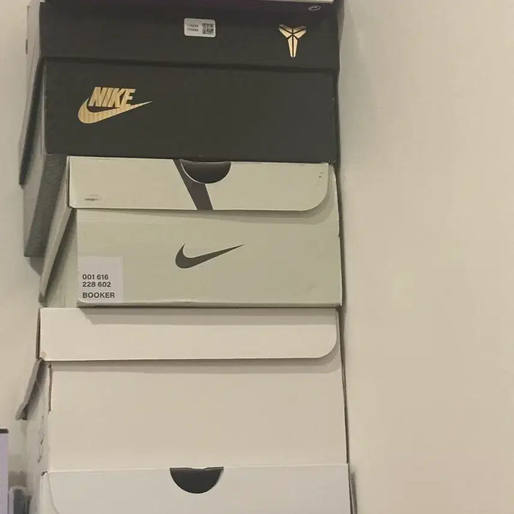 [BUNJANG] Kobe 6, Wow10, Book 1, GT Cut 3 Sneakers / 코비 6 wow10 북1 지티컷 3