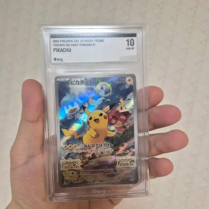 [BUNJANG] Pokemon Pikachu Promo Card BRG10 Card / 포켓몬 카드 피카츄 프로모 카드 brg10