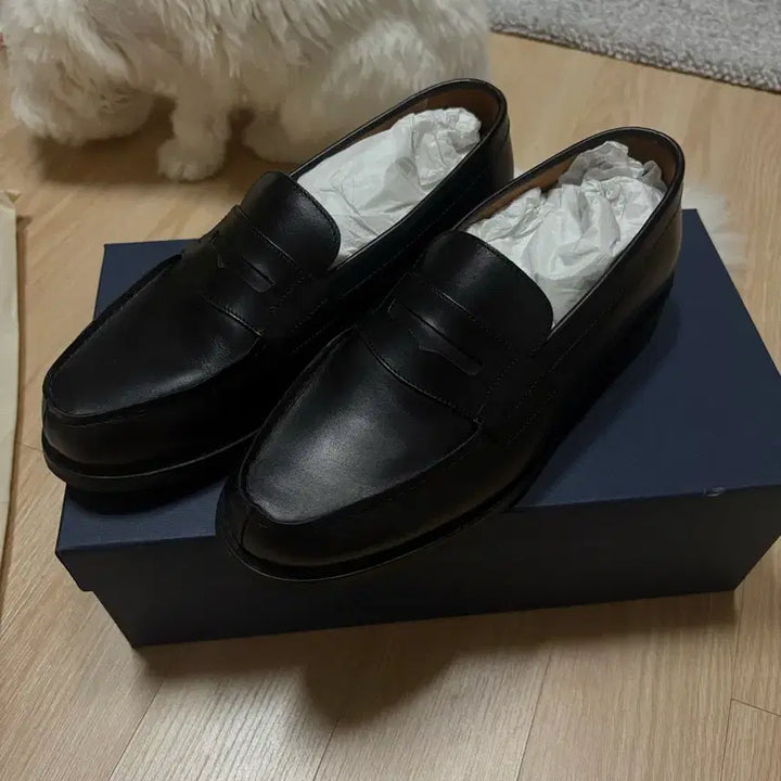 [BUNJANG] Berwick 4456 Penny Loafers / 버윅 4456 판매합니다.