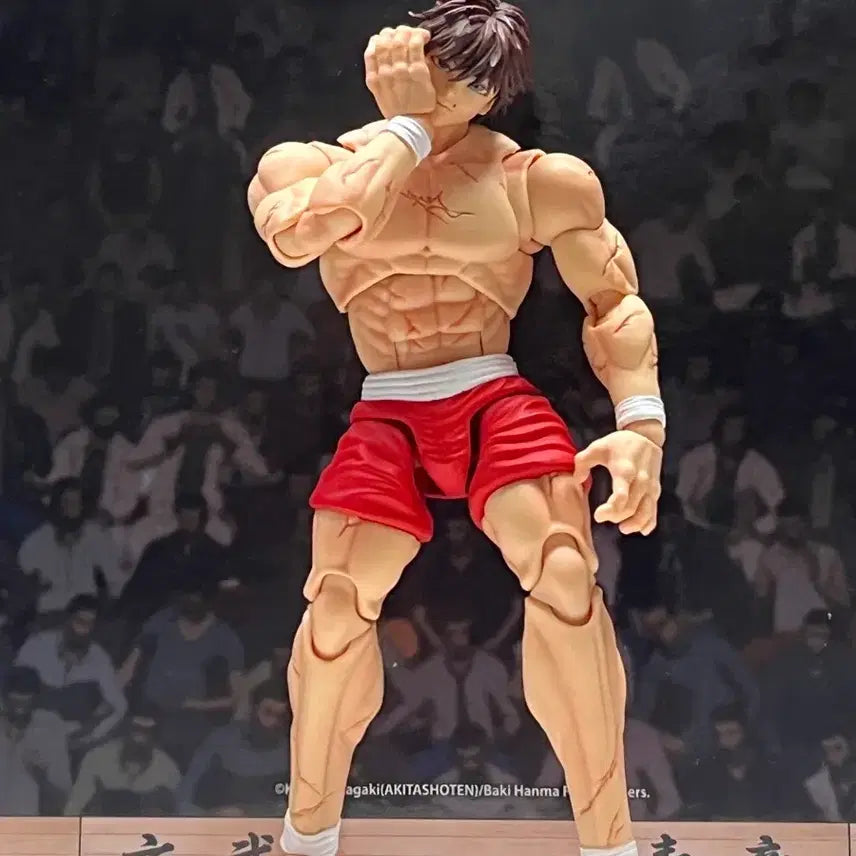 [BUNJANG] Storm Collectibles Hanma Baki Arena Action Figure / (개봉)스톰 콜렉터블 스톰 아레나 한마바키 액션 피규어