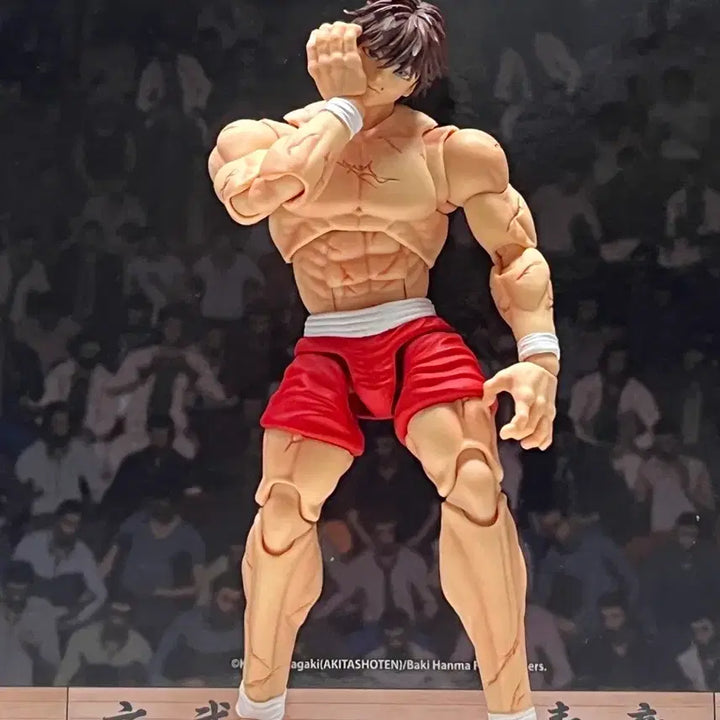 [BUNJANG] Storm Collectibles Hanma Baki Arena Action Figure / (개봉)스톰 콜렉터블 스톰 아레나 한마바키 액션 피규어