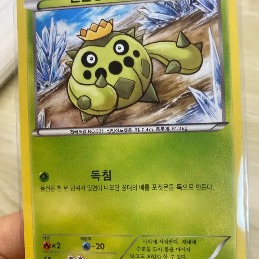 [BUNJANG] Pokemon Sunflora 004/051 Trading Card / 2013 고전 고대 포켓몬카드 BW 선인왕 004/051