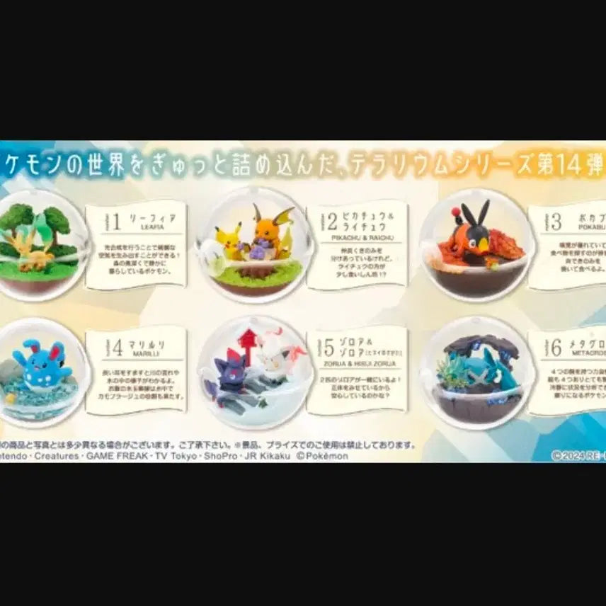 [BUNJANG] Re-Ment Pokémon Terrarium Collection Vol. 14 Box Set / 리멘트 포켓몬스터 테라리움 컬렉션 14탄 6개 1BOX ,