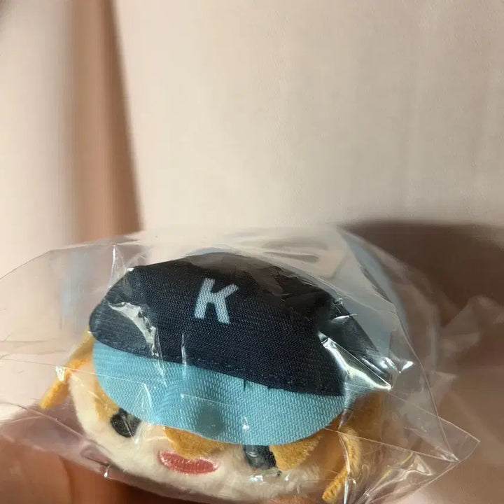 [SOLD OUT] 망각배터리 망배 케이 쯔무