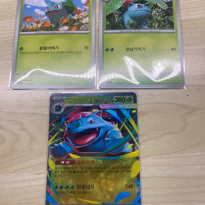 [BUNJANG] Pokemon Bulbasaur/Ivysaur/Mega Venusaur EX Card Set / 포켓몬 카드 이상해씨/이상해풀/메가이상해꽃 EX 세트