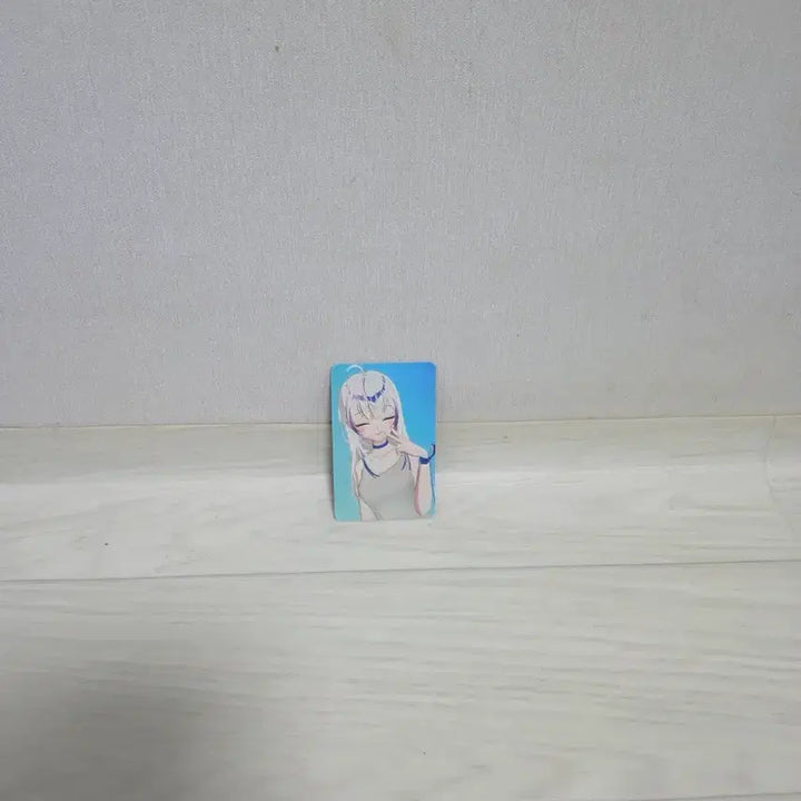 [BUNJANG] Hebi Concert Photocard / hebi 콘서트 포카