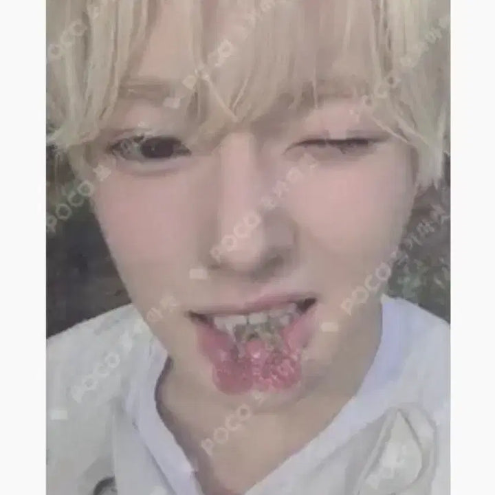 [BUNJANG] NCT WISH Sakuya Photocard / 엔시티위시 빅스미니 사쿠야 포카