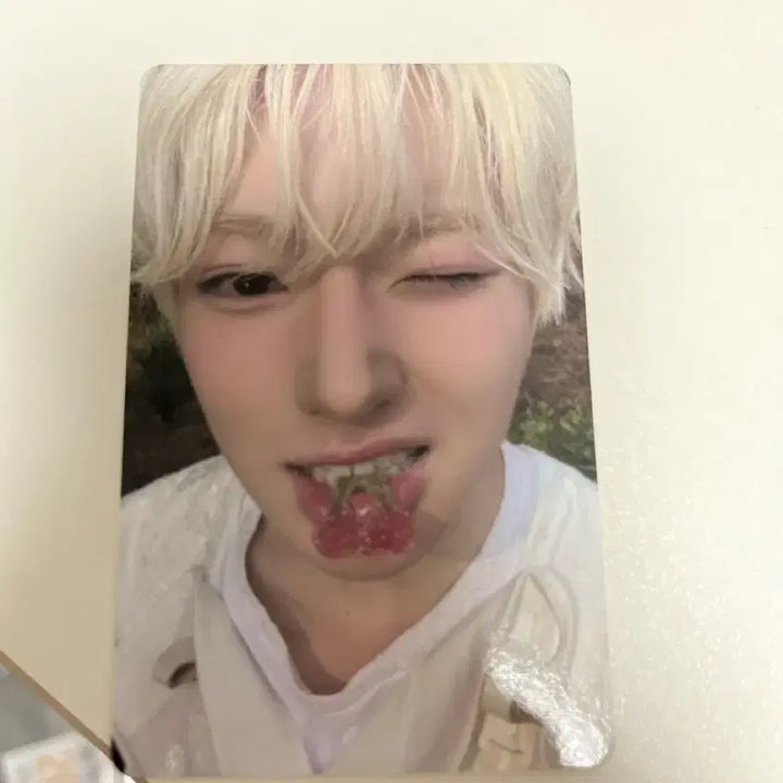 [BUNJANG] NCT WISH Sakuya Photocard / 엔시티위시 빅스미니 사쿠야 포카