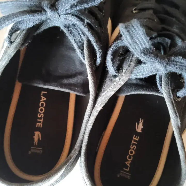 [BUNJANG] Lacoste Sneakers (Size 39.5) / 라코스테운동화39.5