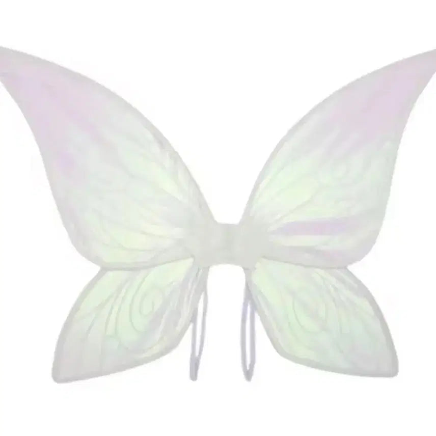 [BUNJANG] Fairy Tinkerbell Graduation Dress Rental / 요정 팅커벨 졸업사진 대여