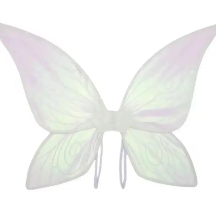 [BUNJANG] Fairy Tinkerbell Graduation Dress Rental / 요정 팅커벨 졸업사진 대여