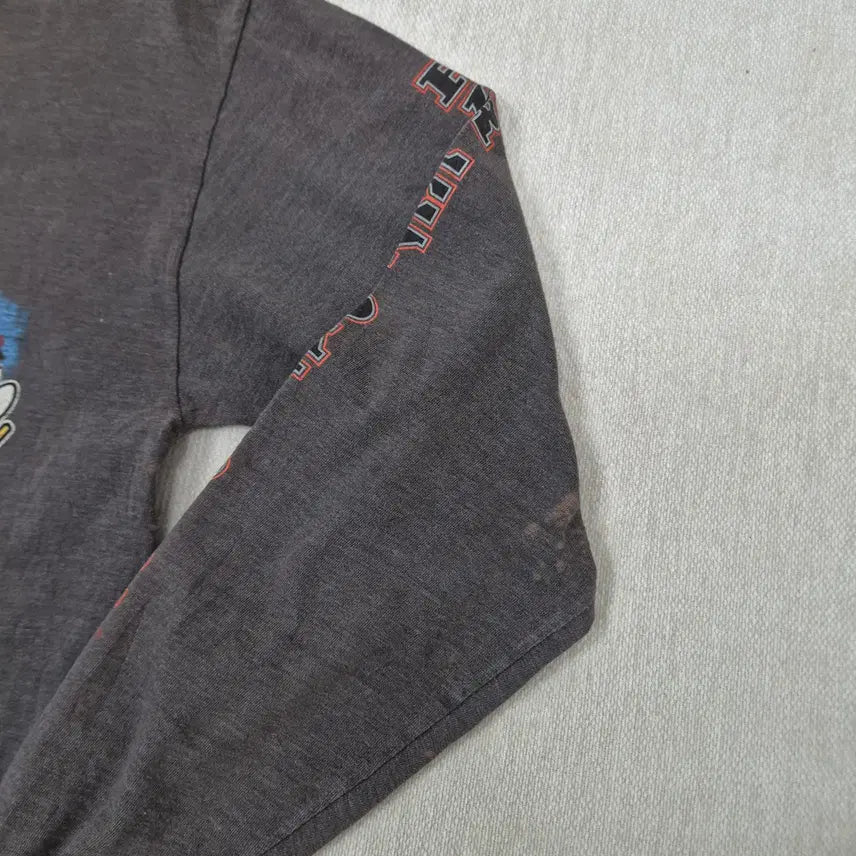 [BUNJANG] Harley Davidson Long Sleeve T-shirt (Size M) / 할리데이비슨 M사이즈 긴팔티셔츠