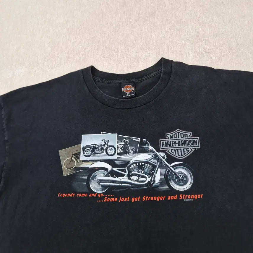 [BUNJANG] Harley-Davidson 3XL Vintage T-shirt / 할리데이비슨 3XL사이즈 반팔티셔츠 빅사이즈