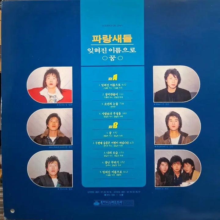 [BUNJANG] Parangsaedeul (Blue Birds) - Forgotten Name LP / 파랑새들LP 89년초반 잊혀진 이름으로 NM